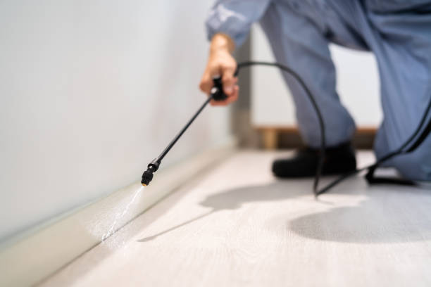 Licensed Cockroach Control service in Rexburg, ID - Nex Pest Control