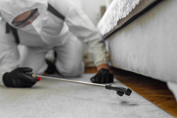 Professional Cockroach Control technician working in Rexburg, ID