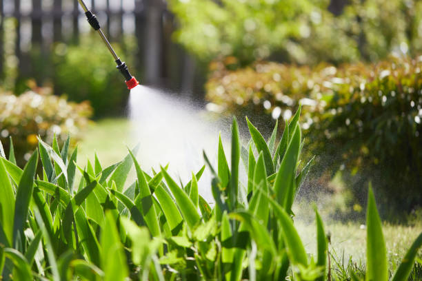 24/7 Emergency Cockroach Control experts in Rexburg, ID