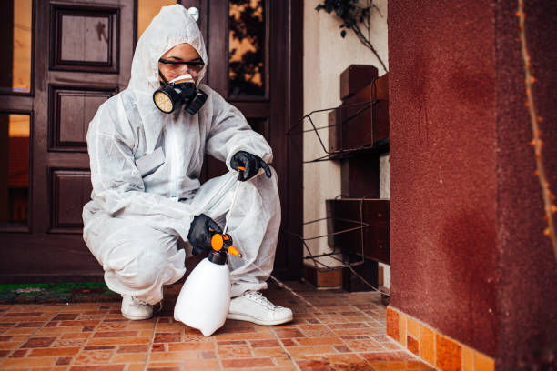 Reliable Cockroach Control contractor in Rexburg, ID by Nex Pest Control
